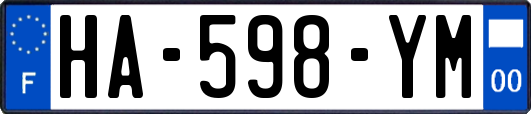 HA-598-YM