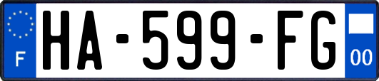 HA-599-FG