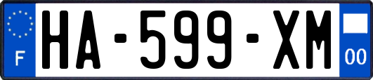 HA-599-XM