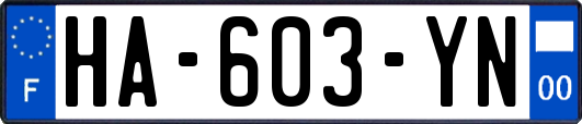 HA-603-YN