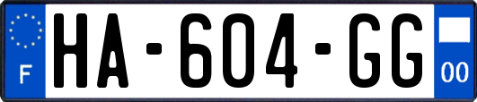 HA-604-GG