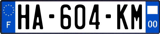 HA-604-KM