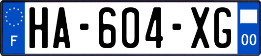 HA-604-XG