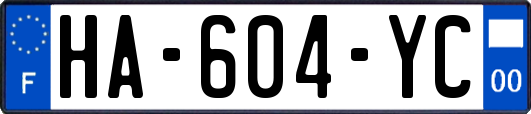 HA-604-YC