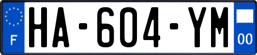 HA-604-YM