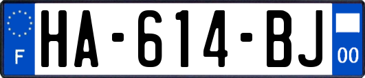 HA-614-BJ