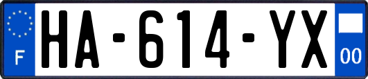 HA-614-YX
