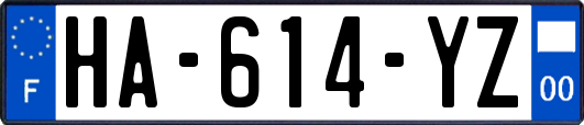 HA-614-YZ