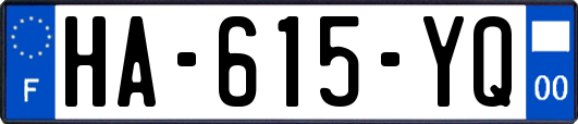 HA-615-YQ