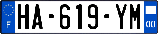 HA-619-YM