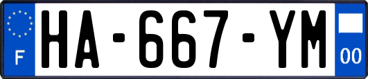 HA-667-YM