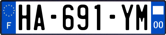 HA-691-YM