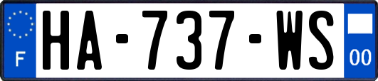 HA-737-WS