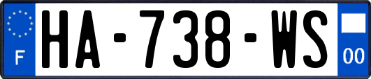 HA-738-WS