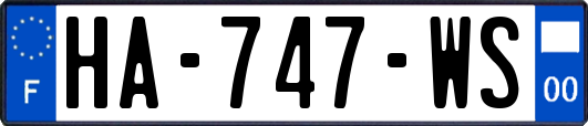 HA-747-WS