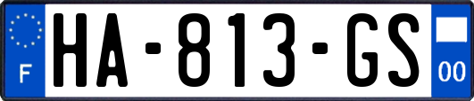 HA-813-GS