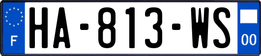 HA-813-WS