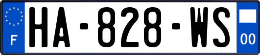 HA-828-WS