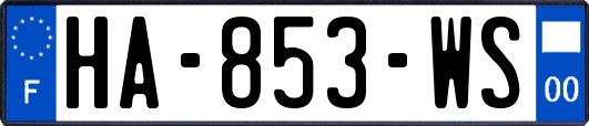 HA-853-WS