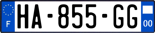 HA-855-GG