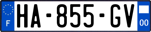 HA-855-GV