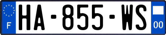 HA-855-WS