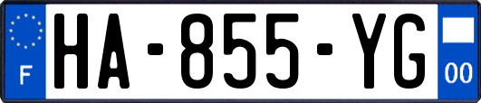 HA-855-YG
