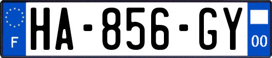 HA-856-GY