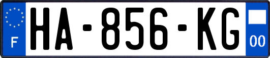 HA-856-KG