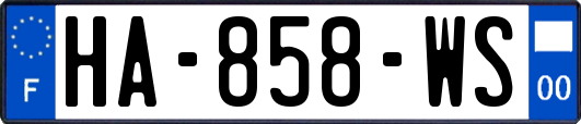 HA-858-WS