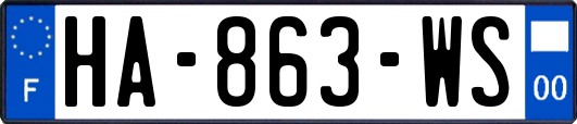 HA-863-WS