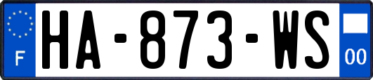 HA-873-WS