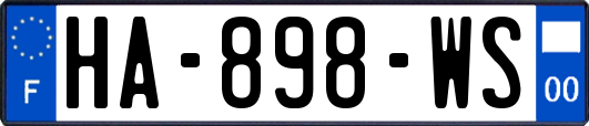 HA-898-WS