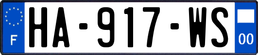 HA-917-WS