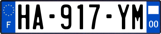 HA-917-YM
