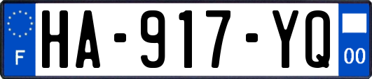 HA-917-YQ