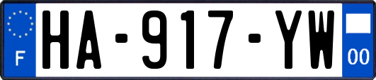 HA-917-YW