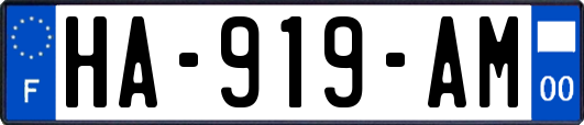 HA-919-AM