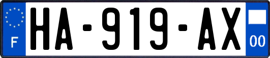 HA-919-AX