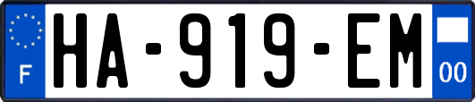 HA-919-EM