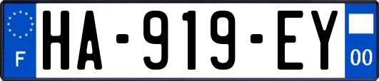 HA-919-EY