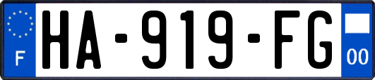 HA-919-FG