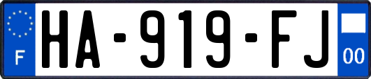 HA-919-FJ