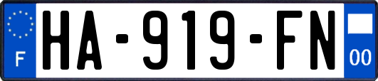 HA-919-FN