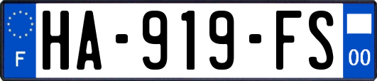 HA-919-FS