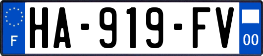 HA-919-FV