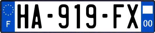 HA-919-FX