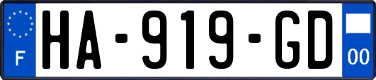HA-919-GD