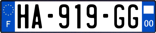 HA-919-GG