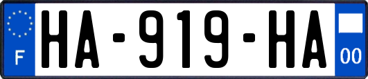 HA-919-HA